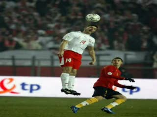 Awans Polski do Euro 2008
