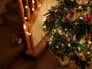 I Can't Believe it's Christmas