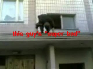 Glupota nie boli. Bola jej skutki cz1
