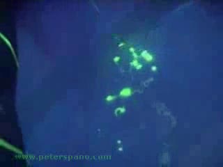 Fluorescencyjna Azjatka