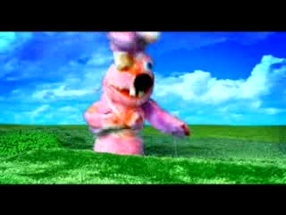 Raggae Rabbits - hymn narodowy