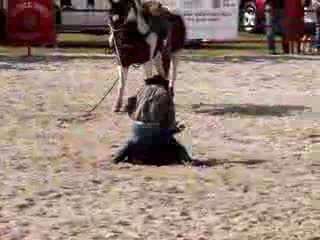 rodeo -rozrywka dla wiesniakow