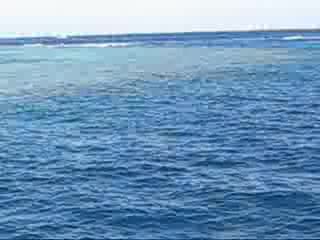 Sharm El-Sheikh 2007 - TORA