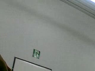 Lipa gotik parabole zal.pl