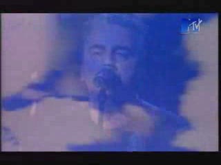 Argentyna - Jamajka 5_0 / Chajf