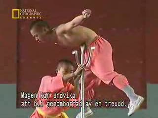 Shaolin Kung Fu