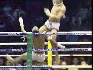 Muay Thai -pokaz