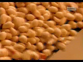 Orzechy ziemne - Jak to jest zrobione (How it's made)