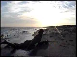 Gracjan Roztocki Baywatch