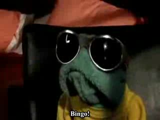 Super Serwis Grubego Eda