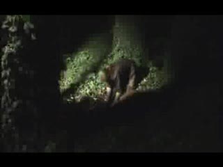 Urban Legend - 