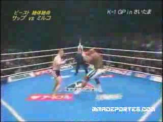 Mirko Cro Cop Filipovic vs Bob 