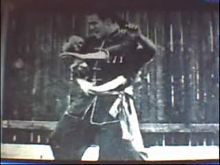 Bruce.Lee.lee.jun.fan
