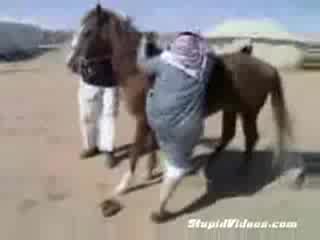 Arabskie rodeo