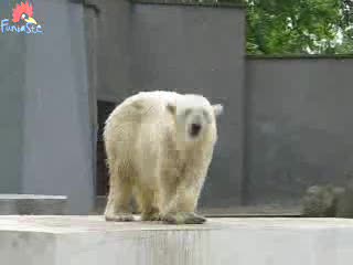 Rap