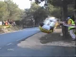 Drzewo vs WRC