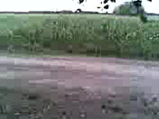 Maluch Drift - Czerwona Bestia