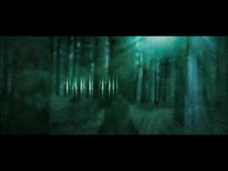 lęk (shrooms) / trailer