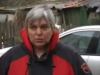 Powiesił się na Drzewie