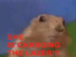 HOT DOG the animated GIF songmovie