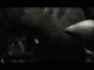 Painkiller (PC; 2004) - Alternatywne zakończenie