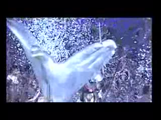 Moguai For Sensation White I Want, I Need, I Love