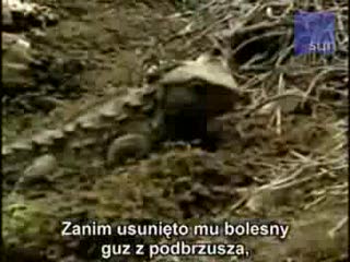 111-latek spłodził 11 dzieci
