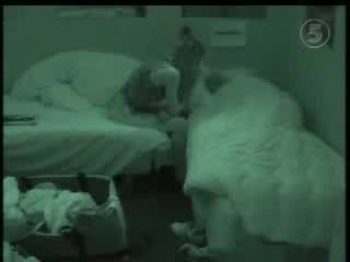 Big Brother Szwecja