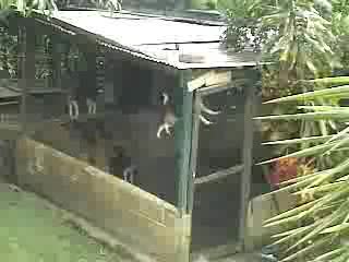 prisonbreak xDD