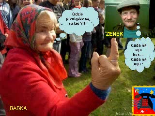 gdzie_pieni_dze_s__za_las