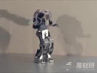 Humanoid Robot