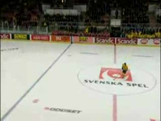 hokej gol