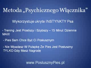Szkolenie Psów 2/2