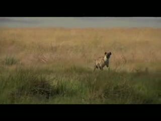 Serengeti National Park - Tanzania