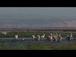 Imogen Heap in Tanzania