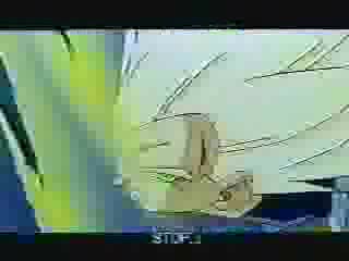 Linkin Park DBZ