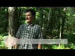 Enigma: Tajemnica Przyrownicy (www.WP.tv)