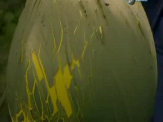 Discovery Channel - Najstraszliwsze Robale Swiata I - Lektor PL 5/5