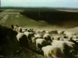 Tak powstała Biblia [ Stary Testament cz.2 ]