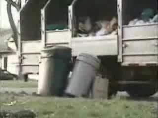 Głupi żart