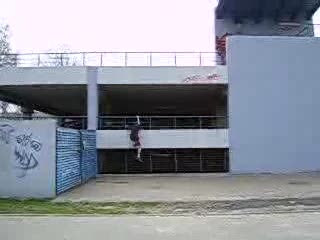 77dawa multikino