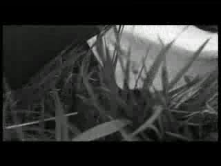PANTOFLARZ - film niezależny (4/4)