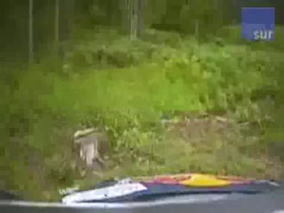 Zobacz wypadek Sebastiana Loeba