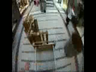 Pokazy parkour w Zielonej Górze