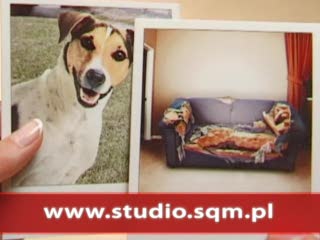 Spot reklamowy SGB SQM Studio