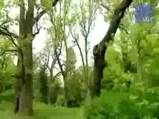 Mazury jednym z cudów świata ?
