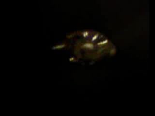 NASA\'s Alien Anomalies caught on film - A compilation of stunning UFO footage from NASA\'s archives
