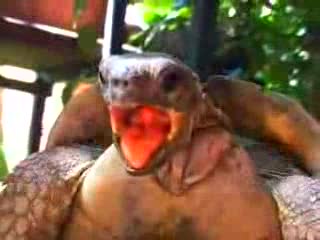 Niesamowity orgazm