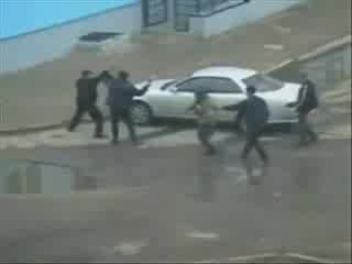 walki zuli