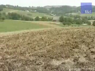 15 lat zaprzęgał żonę do pługa